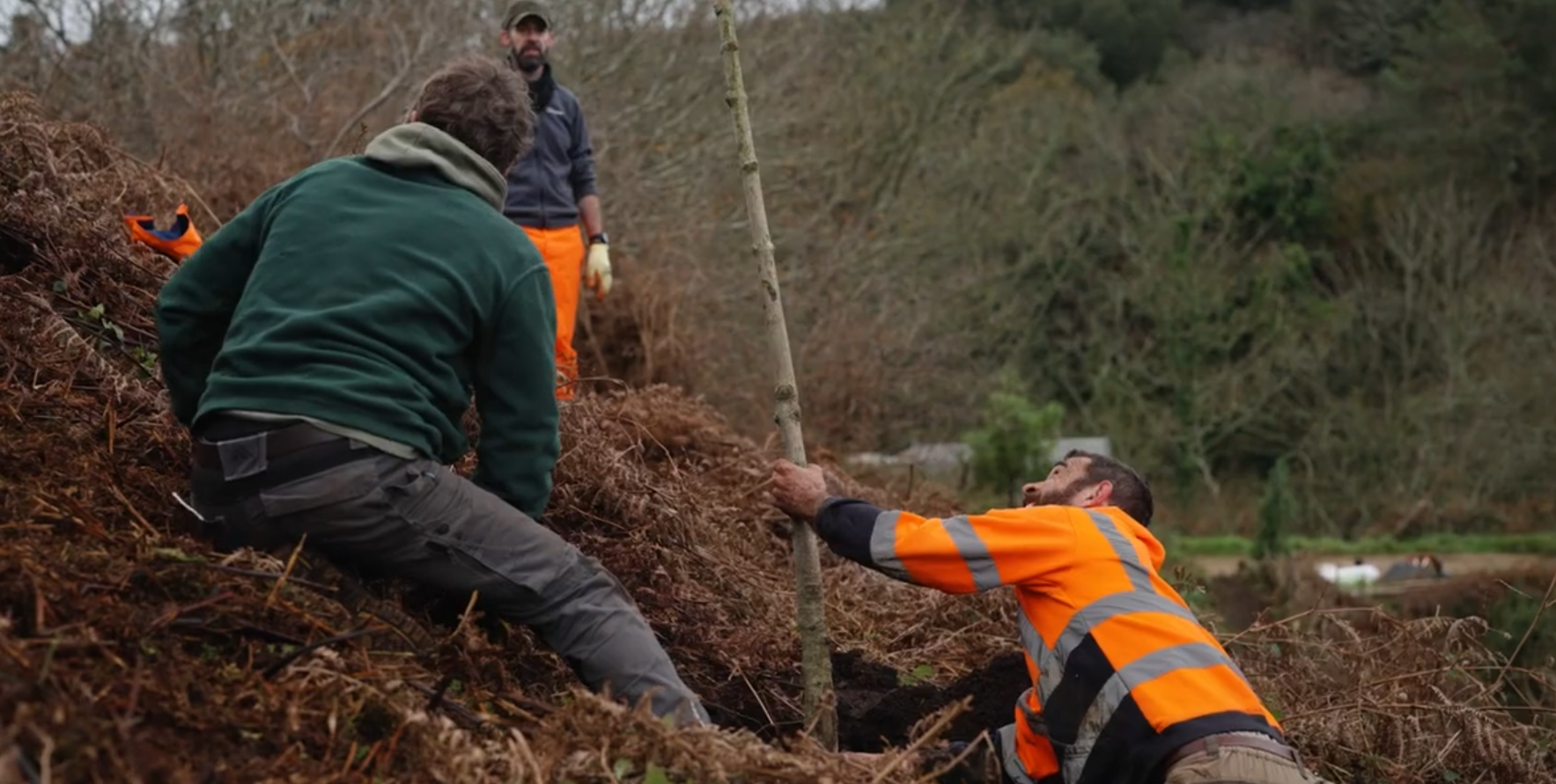 Jersey Trees for Life Himalayan trail 4