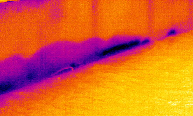 Thermal image showing water damage at the base of an internal wall