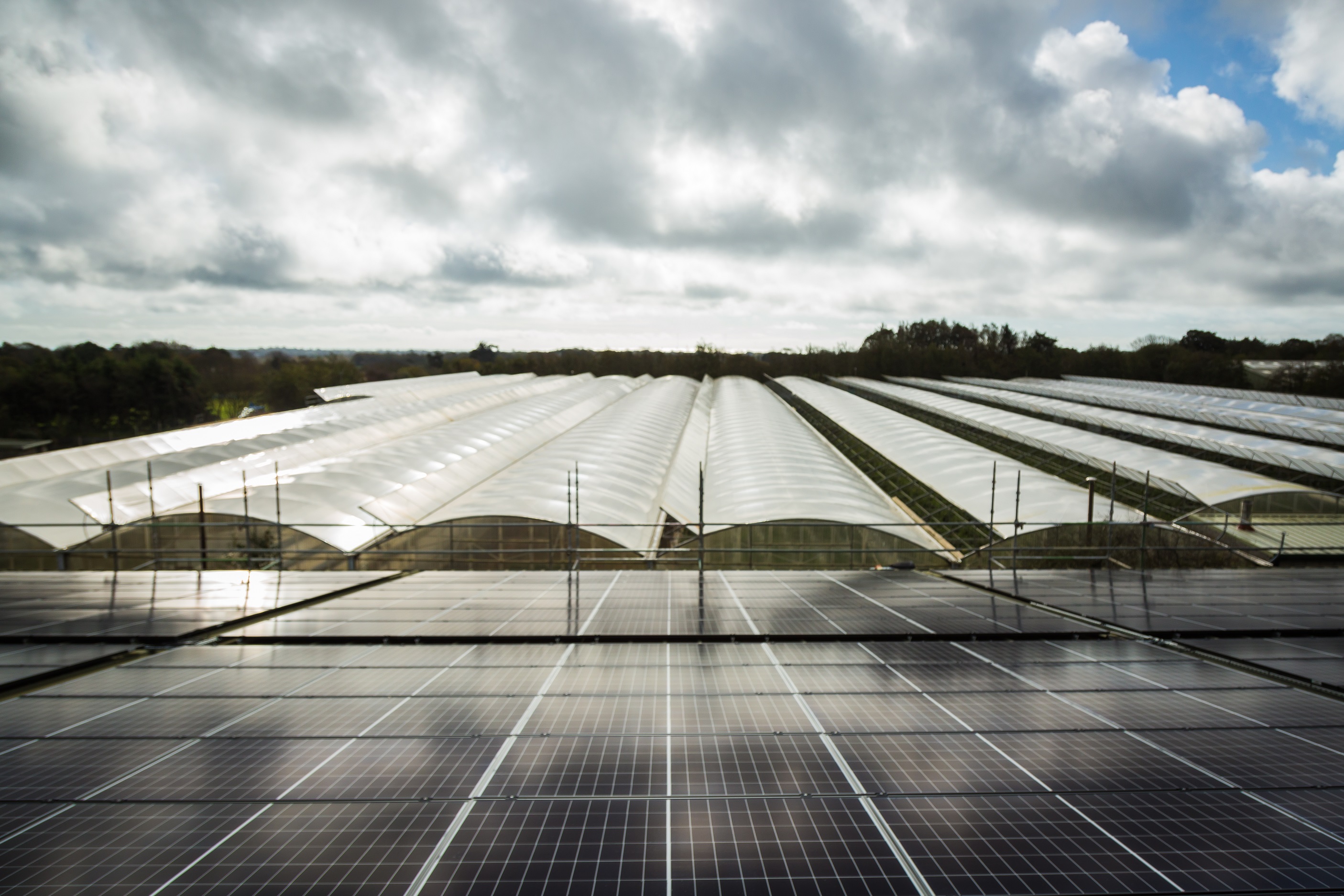 Woodside farm solar array
