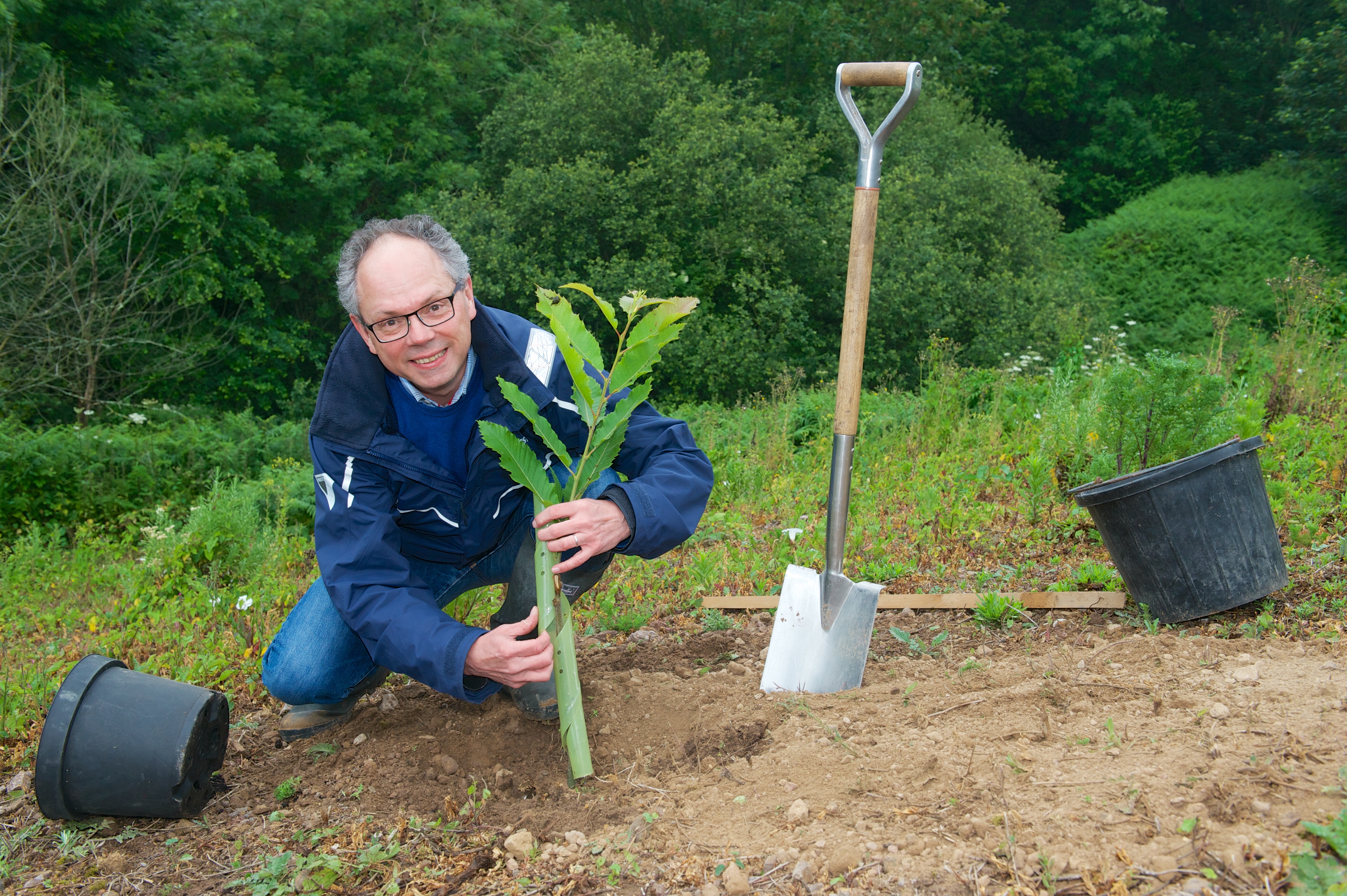 Chris Ambler, CEO of Jersey Electricity kneeling down to plant a tree