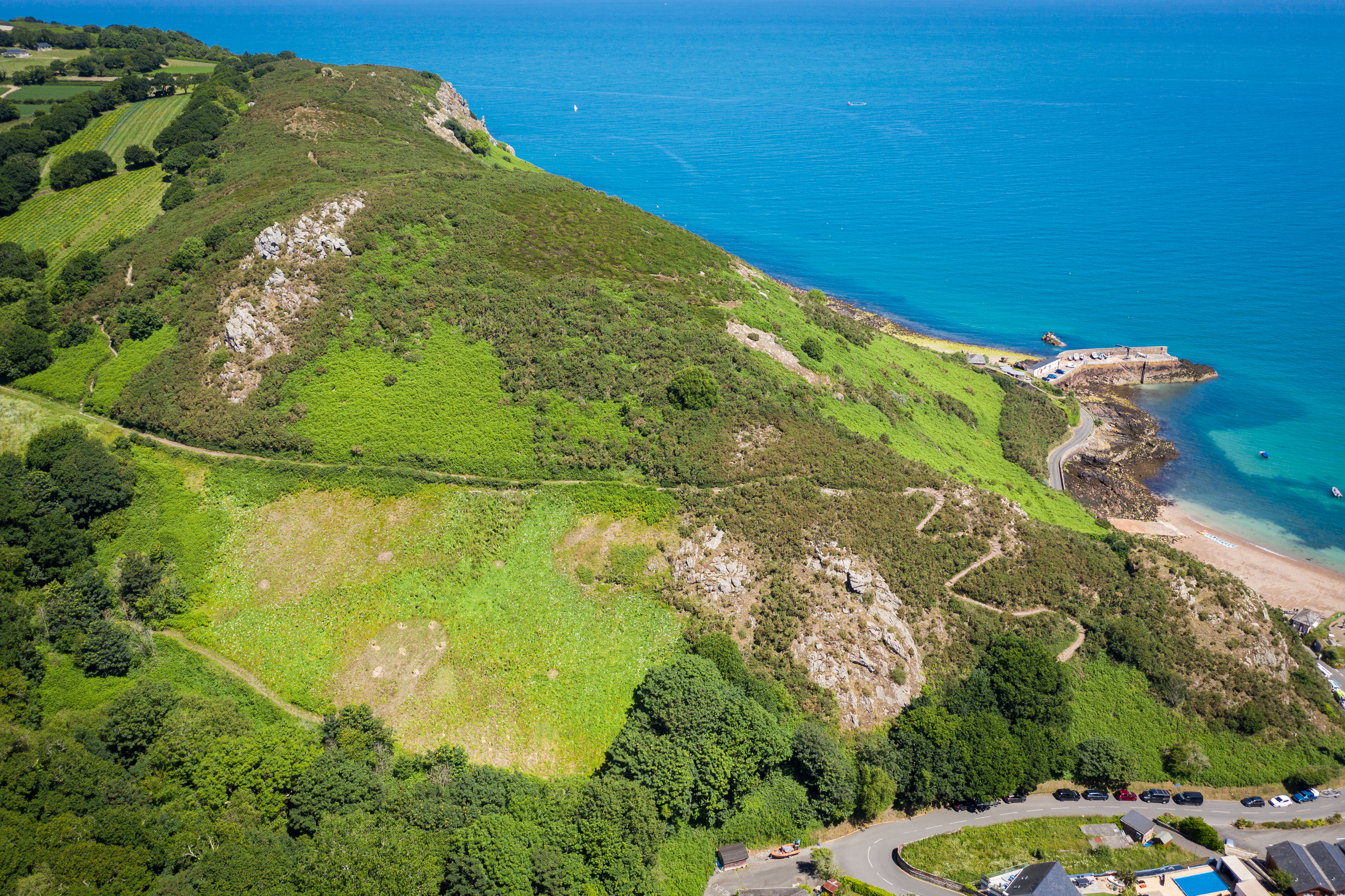 Bouley Bay Planting