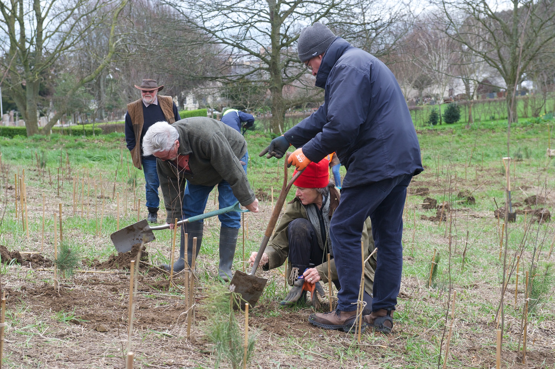 Group of people planting trees