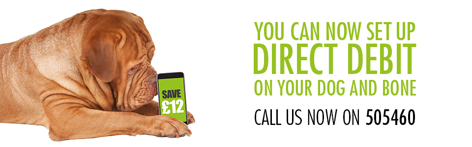 Direct debit advert