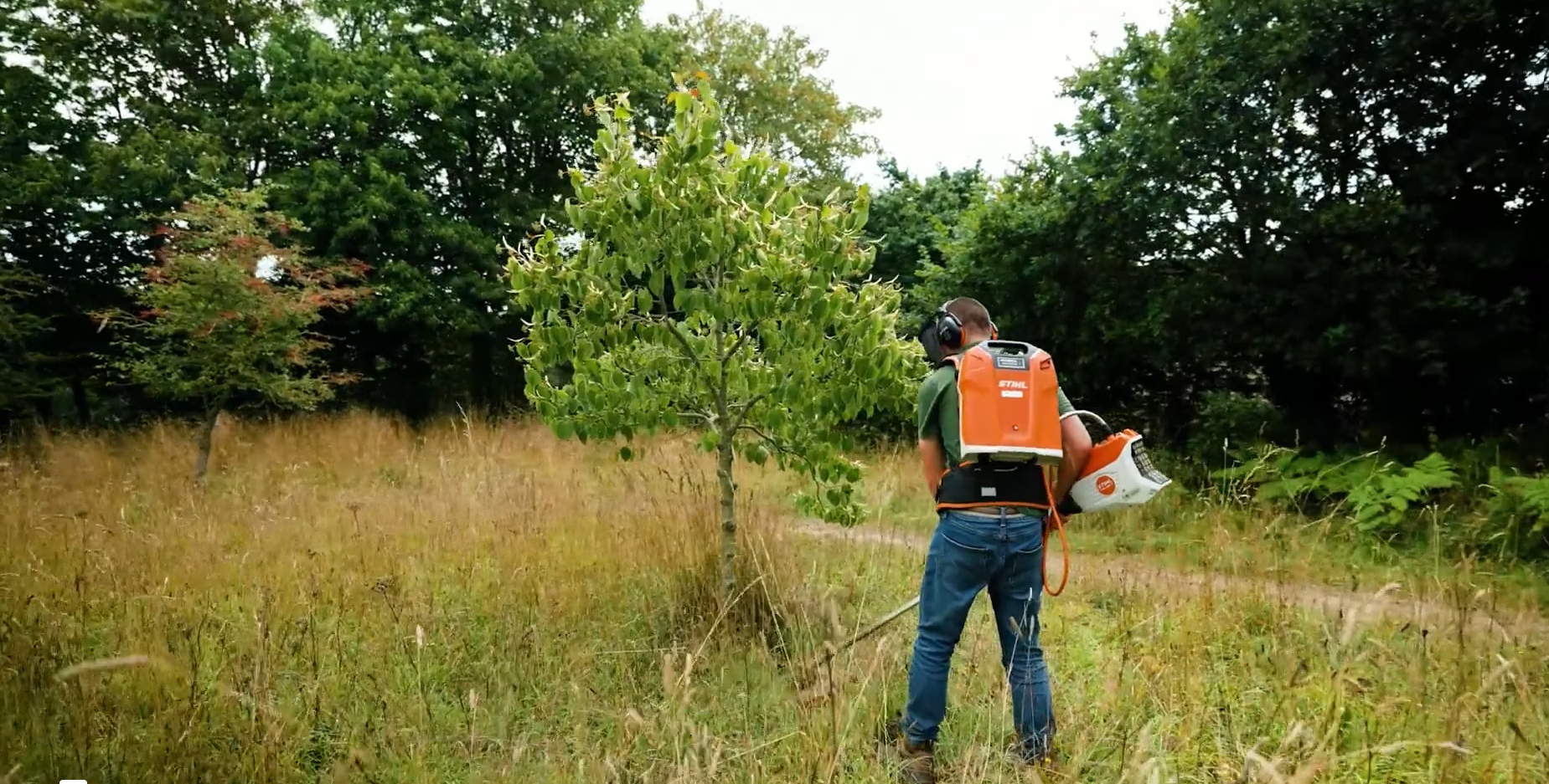 A man in a field strimming grass around a tree using an electric strimmer