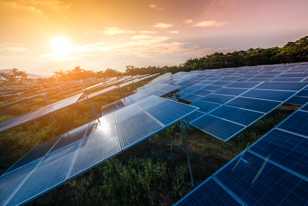 Ground mounted solar array at sun rise